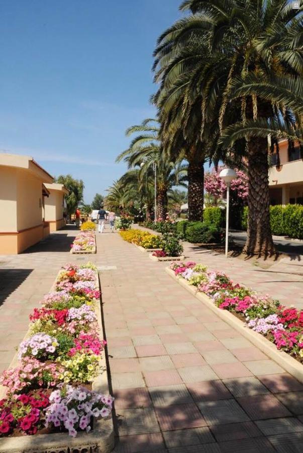 Hotel Summer Day Village Santa Maria Del Cedro Dış mekan fotoğraf